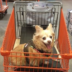 Meet your Posher, Alicia